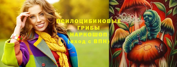дурь Волоколамск