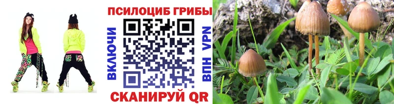 Купить  Костерёво  Галлюциногенные грибы GOLDEN TEACHER 